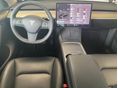 TESLA MODEL Y 2023/3 - 8