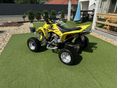 SUZUKI LT-Z 400 2003/2 - 2