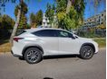 LEXUS NX 2020/10 - 2