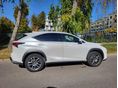 LEXUS NX 2020/10 - 11