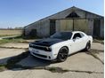 DODGE CHALLENGER 2019 - 2