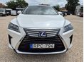LEXUS RX 2019/8 - 8