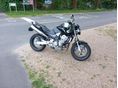 HONDA CB 900 F (HORNET) 