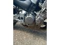 HONDA CB 900 F (HORNET) 2002/8 - 5
