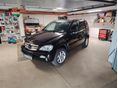 MERCEDES-BENZ ML 270 CDI (Automata)