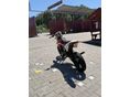 BETAMOTOR RR 50 2016 - 2