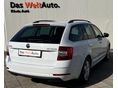 SKODA OCTAVIA 2019/6 - 4