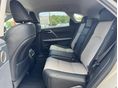 LEXUS RX 2023/4 - 8