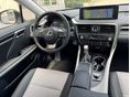 LEXUS RX 2023/4 - 7