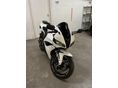 HONDA CBR 600 RR 2008/9 - 5