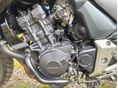 HONDA CBF 600 2006/12 - 4