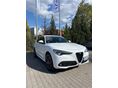 ALFA ROMEO STELVIO 2021/11 - 6