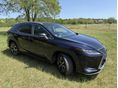 LEXUS RX 2020/1 - 3