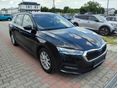 SKODA OCTAVIA 2022/8 - 2