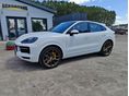 PORSCHE CAYENNE 2024/7 - 1
