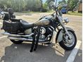 YAMAHA XVS 1100 DRAG STAR 2005 - 6
