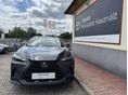 LEXUS NX 2025/2 - 6
