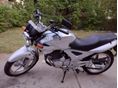 HONDA CBF 250 2005/11 - 6