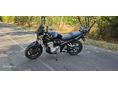 SUZUKI GSF 650 2008/11 - 4