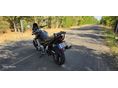 SUZUKI GSF 650 2008/11 - 5