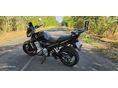 SUZUKI GSF 650 2008/11 - 2