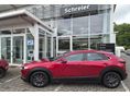 MAZDA CX-30 2020/6 - 4