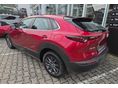 MAZDA CX-30 2020/6 - 5