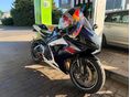 SUZUKI GSX-R 750 2008/10 - 5
