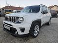 JEEP RENEGADE 2021/3 - 2