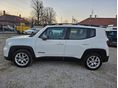 JEEP RENEGADE 2021/3 - 4