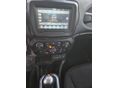 JEEP RENEGADE 2021/3 - 14