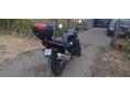 SUZUKI GSF 1200 (BANDIT) 2005 - 4