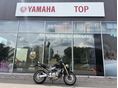 HONDA CB 600 F (HORNET) AUTÓ-MOTOR BESZÁMÍTÁS!