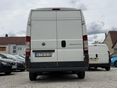 FIAT DUCATO 2007/6 - 8