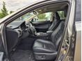 LEXUS NX 2019/10 - 7