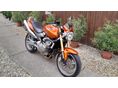 HONDA CB 600 F (HORNET) megkímélt állapotban