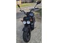 HONDA ZOOMER 