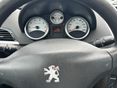 PEUGEOT 207 2009/4 - 8