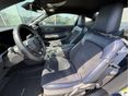 FORD MUSTANG 2024/6 - 3