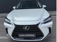 LEXUS NX 2022/9 - 5