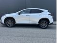 LEXUS NX 2022/9 - 6
