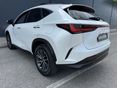 LEXUS NX 2022/9 - 8