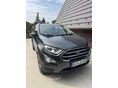 FORD ECOSPORT 1.0 EcoBoost Business (Automata)