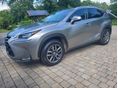 LEXUS NX 2017/6 - 1