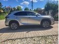 LEXUS NX 2017/6 - 4