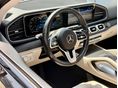 MERCEDES-BENZ GLE 450 2023/9 - 9