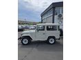 TOYOTA LAND CRUISER 1980/2 - 5