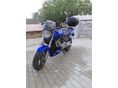 HONDA CB 600 F (HORNET) 2000/1 - 6