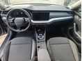 SKODA OCTAVIA 2025/4 - 5