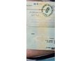 FIAT DUCATO 2021/9 - 5